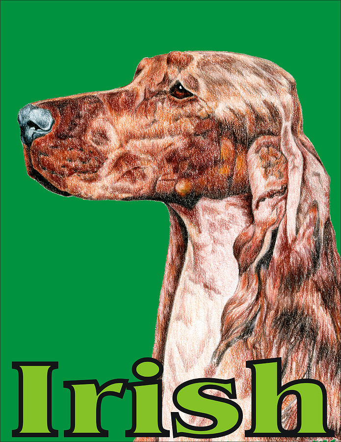 Irish Setter Digital Art - Irish Setter Pop Art by Kathleen Sepulveda Irish Setter Digital Art - Irish Setter Pop Art by Kathleen Sepulveda