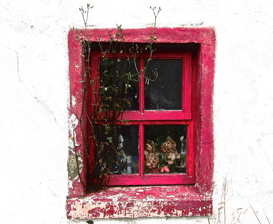 Irish Window Photograph by Stephanie Moore
