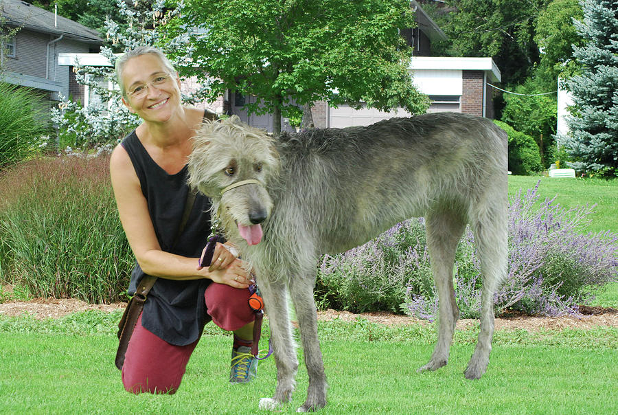 Irish Wolfhound And Company Photograph by Ee Photography