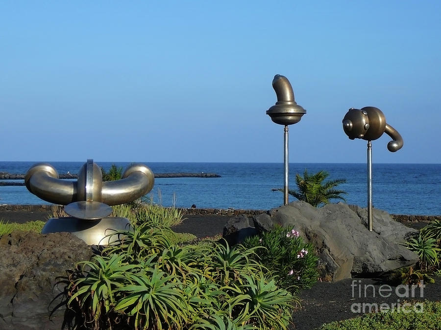 Iron Art by the sea Photograph by Francesca Mackenney