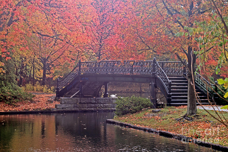 Iron Bridge Roger Williams Park Photograph by Jim Beckwith - Pixels