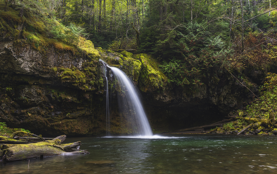 Iron Creek Falls Photograph by Loree Johnson