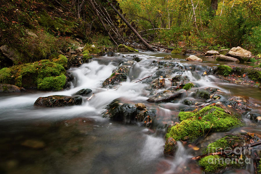 Iron Creek Rapids  Photograph by Steve Triplett