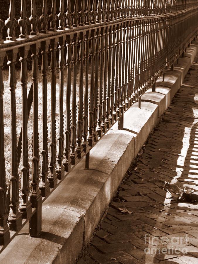 Iron Fence with Shadows Photograph by Carol Groenen