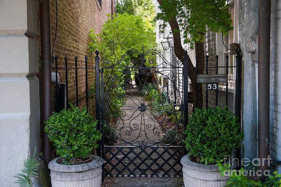 Iron Gate Alley Photograph