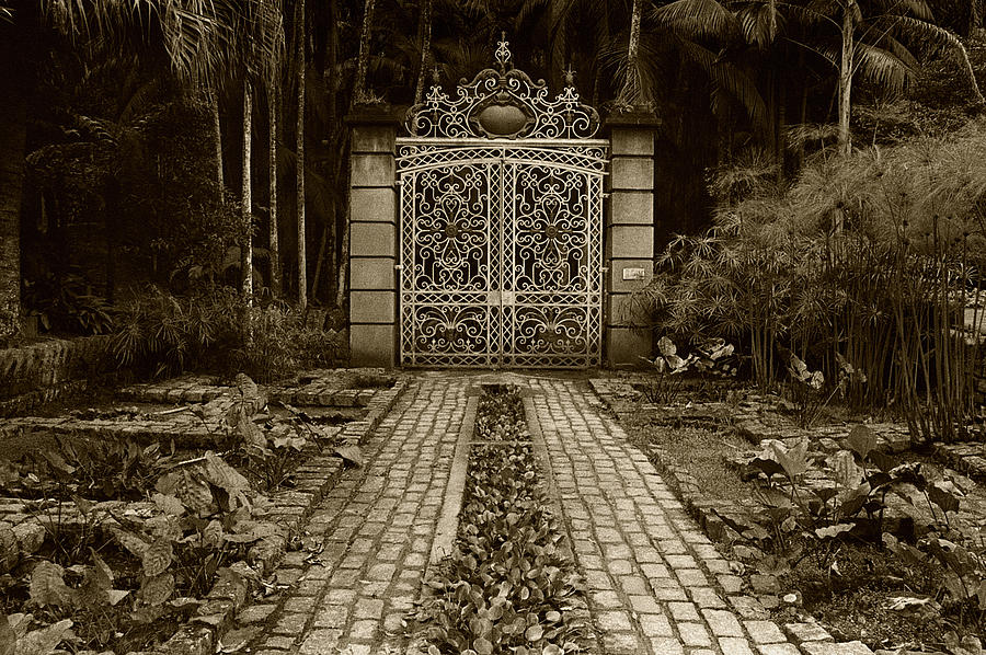 Iron Gate Photograph by Amarildo Correa