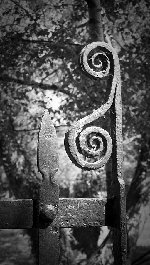 Irish Photograph - Iron Gate Detail County Clare Ireland by Teresa Mucha