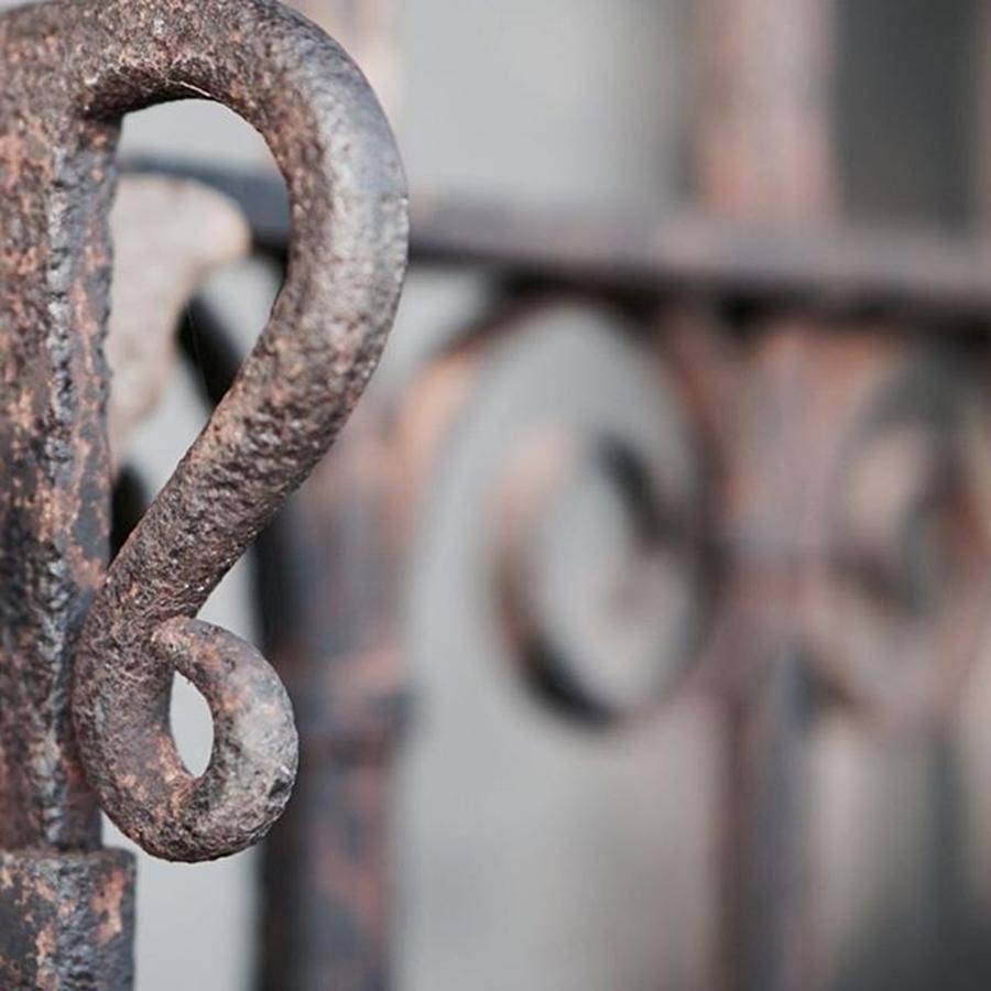 Crypt Photograph - Iron Gate. #gate #iron #wroughtiron by Marty Weil