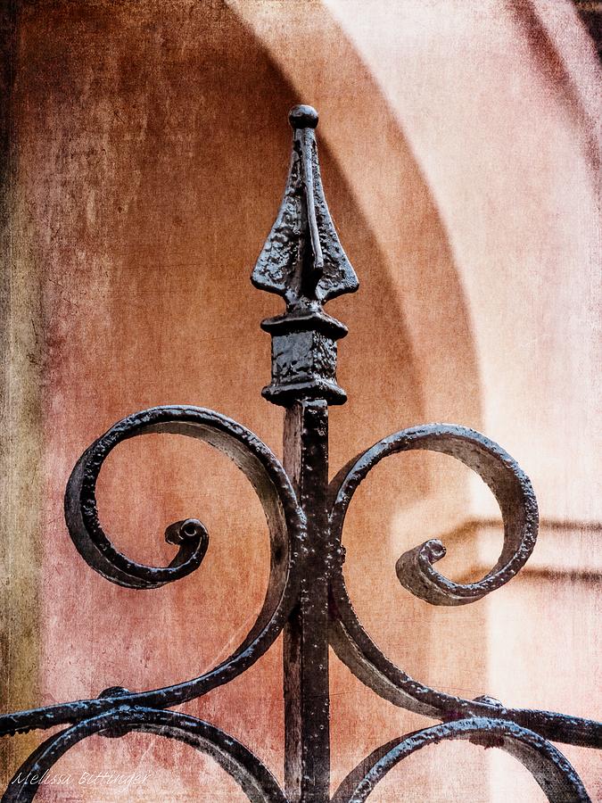 Iron Gate Post, Old World Gothic Victorian Photograph by Melissa Bittinger