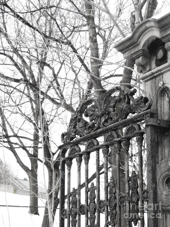 Gates Photograph - Iron Gate by Reb Frost