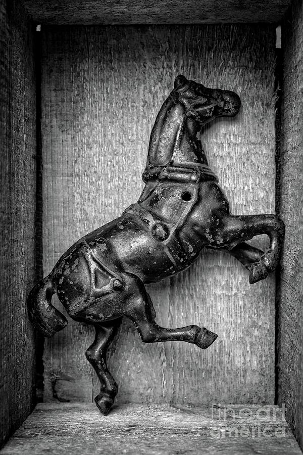 Iron Horse Photograph by Edward Fielding