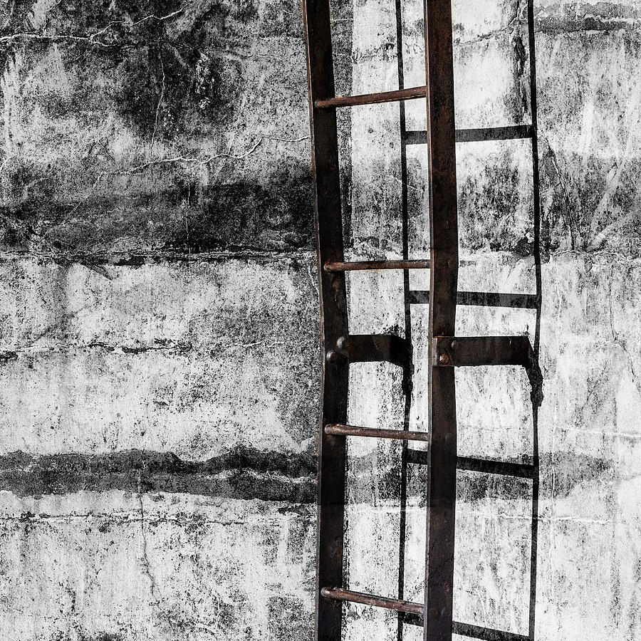 Abstract Mixed Media - Iron Ladder by Carol Leigh