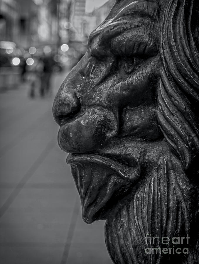 Iron Lion Photograph by James Aiken