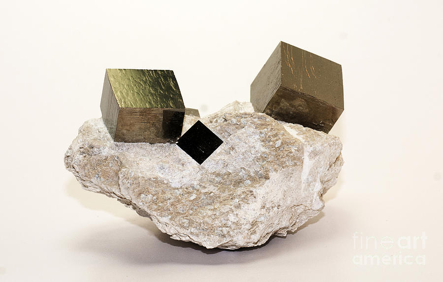 Iron Pyrite Cubic Crystals In Matrix Photograph by Scott Camazine