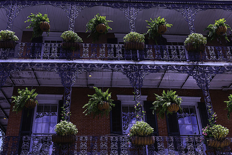 New Orleans Photograph - Iron Railings And plants by Garry Gay