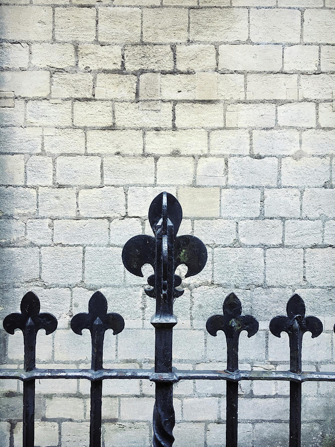 Iron railings detail  Photograph by Tom Gowanlock