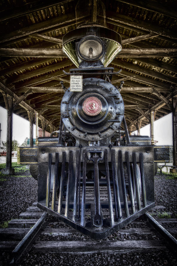 Iron Range Railroad Company Train Photograph by Bill and Linda Tiepelman