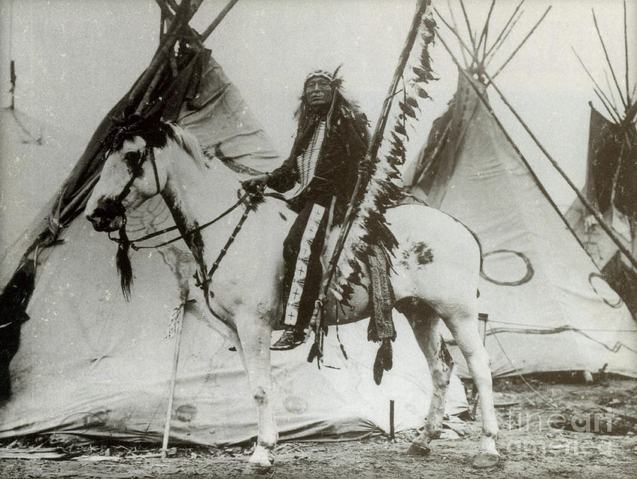 Horse Photograph - Iron Tail Sioux Chief Early 1900s by Photo Researchers