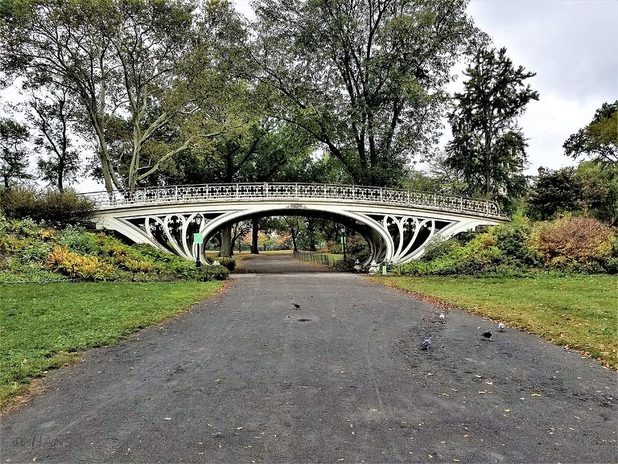 Iron White Bridge Of Central Park Photograph by Rob Hans