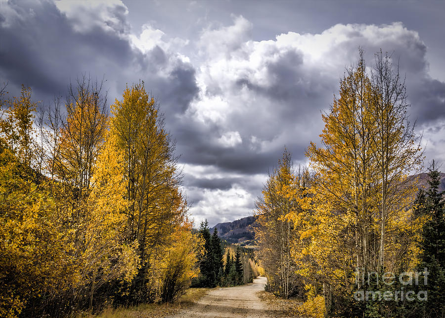 Ironton Colorado Trailhead Photograph by Janice Pariza