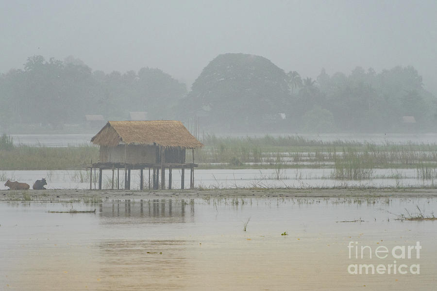 Irrawaddy in Flood Photograph by Werner Padarin