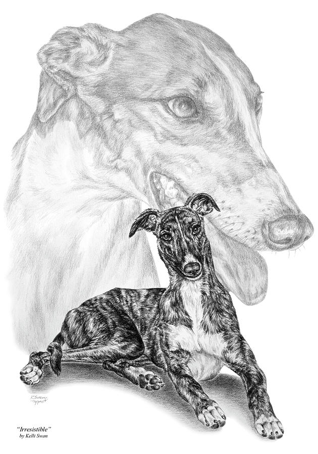 Irresistible - Greyhound Dog Print Drawing by Kelli Swan
