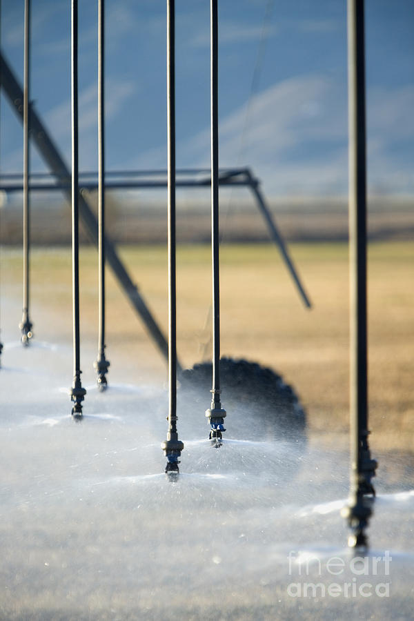 Irrigation Sprinklers Heads Photograph by Inga Spence
