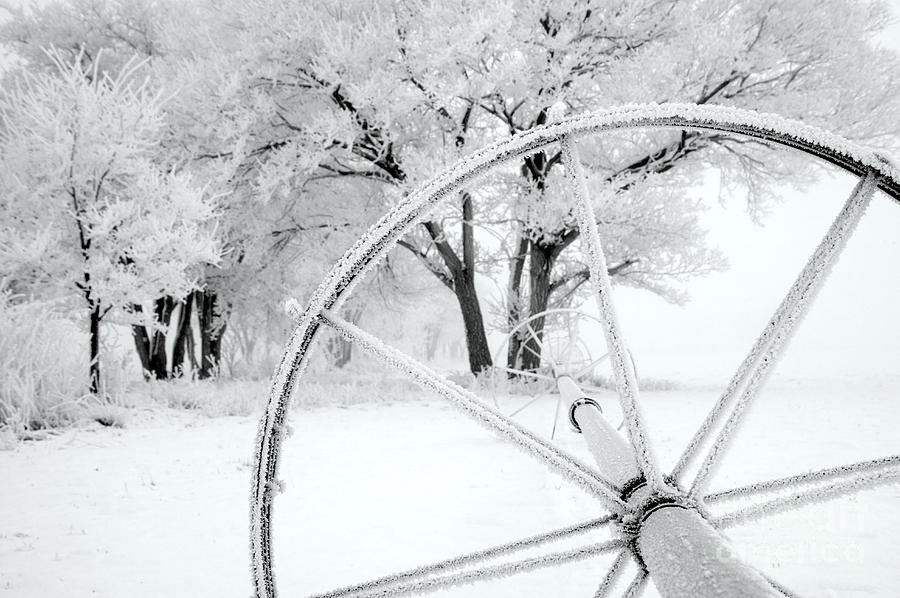 Irrigation Wheel In The Snow Photograph by Inga Spence