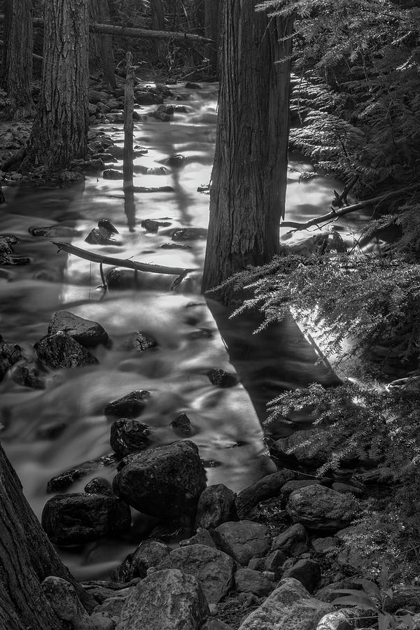 Is it Snow or Water on Johnson Creek by Roderick Bley Is it Snow or Water on Johnson Creek by Roderick Bley