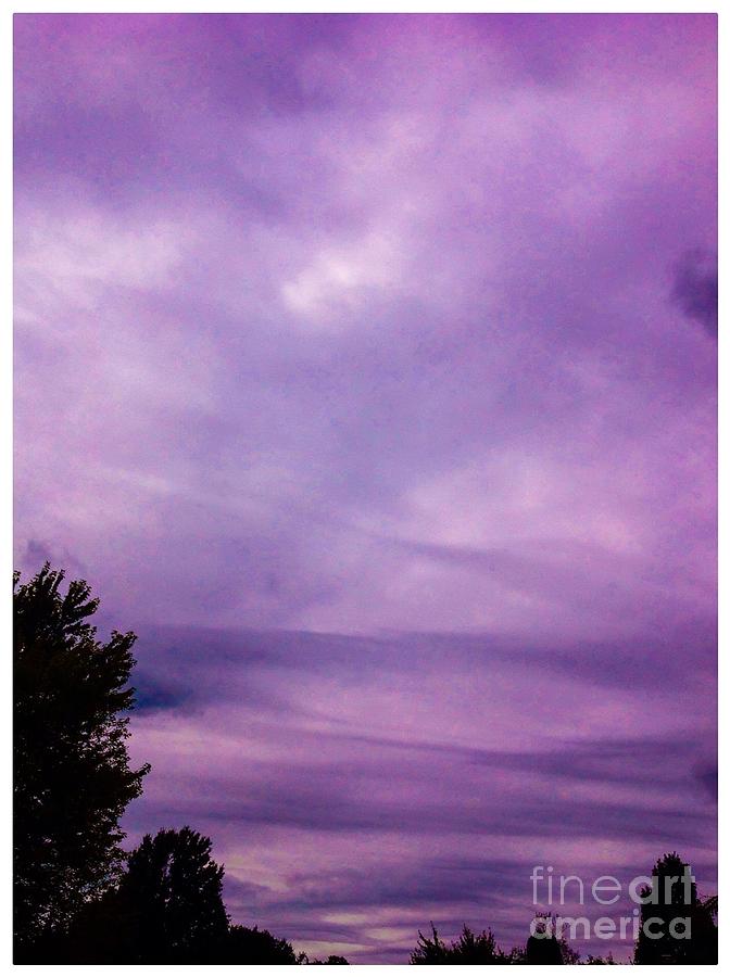 Is That A Violet Sky Or What Photograph by Debra Lynch