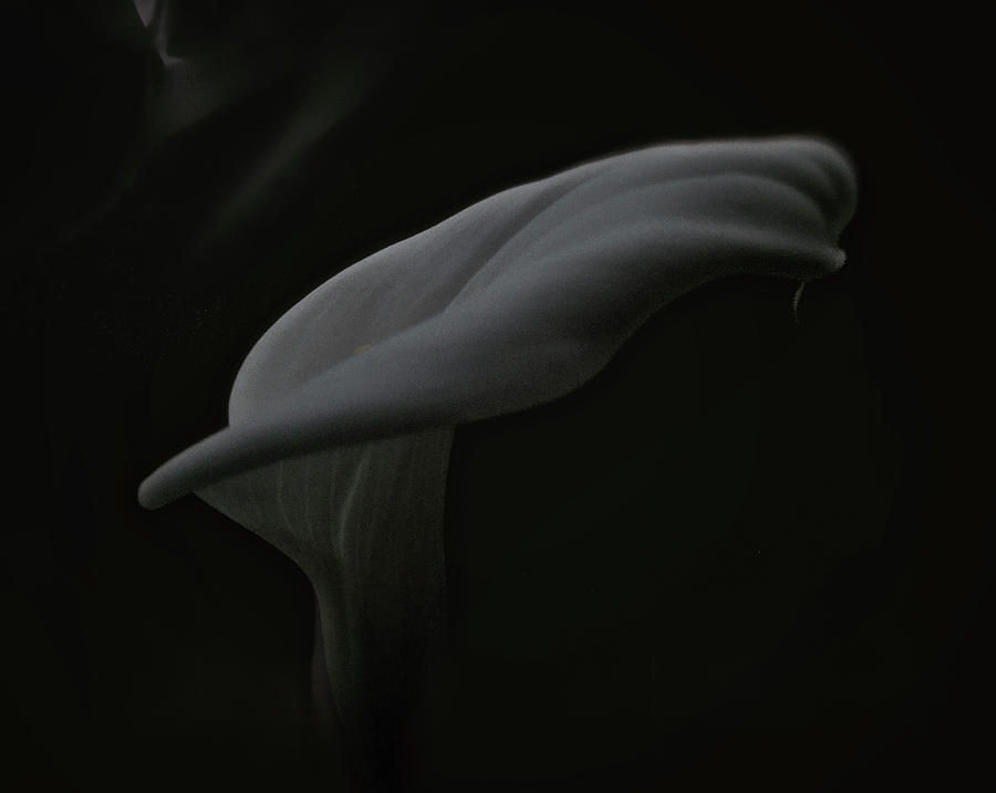 Is there a ghost? by Michael Van Huffel Is there a ghost? by Michael Van Huffel