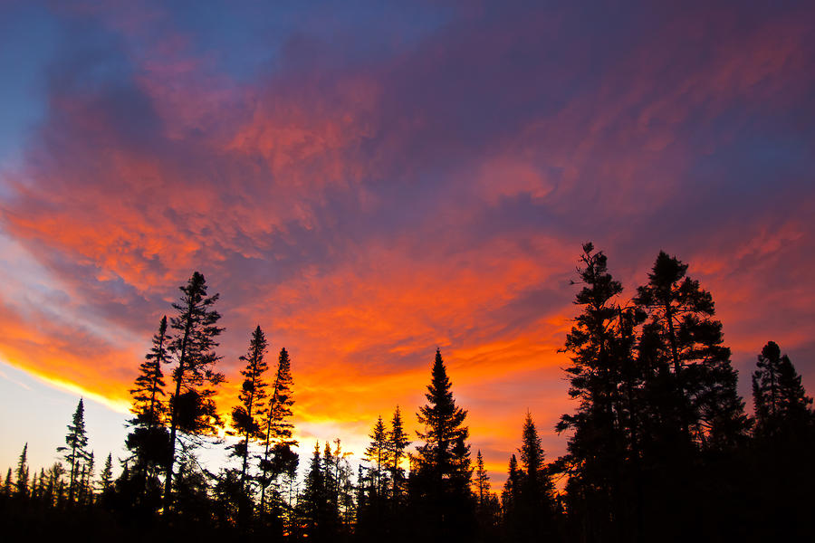 Isabella at dawn Photograph by Andrew Smith - Fine Art America