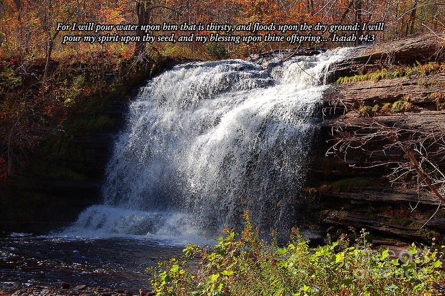 Isaiah 44 Photograph by Diane E Berry - Fine Art America