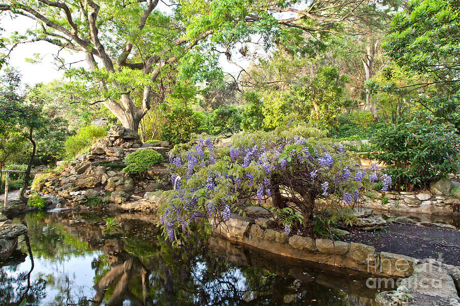 Isamu Taniguchi Japanese Garden by Inga Spence