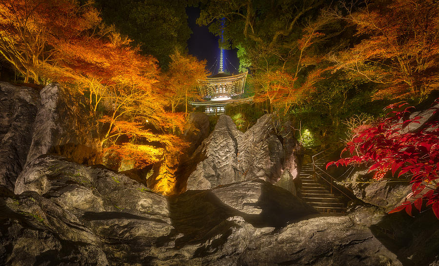 Fall Photograph - Ishiyama Temple at night by Yu Kodama Photography