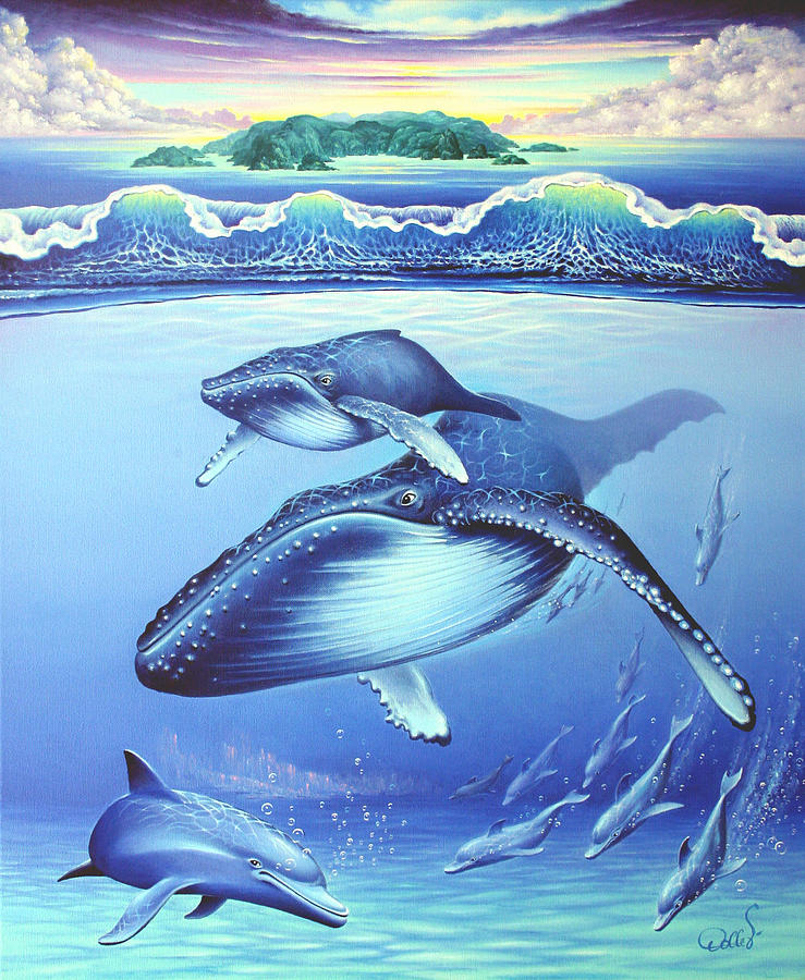 Whale Painting - Isla del Coco III by Hans Doller