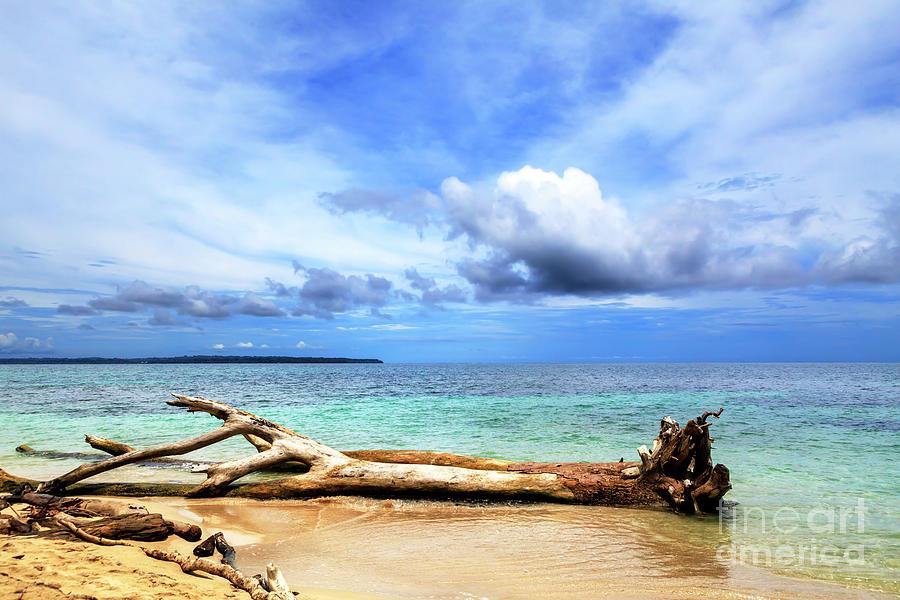 Isla Zapatillas Panama Photograph by John Rizzuto