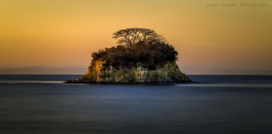 Island at Sunset Photograph by Janet  Kopper