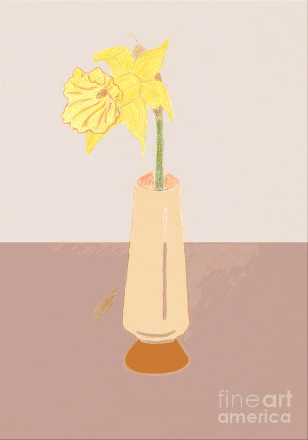 Island Daffodil Drawing by Donna L Munro
