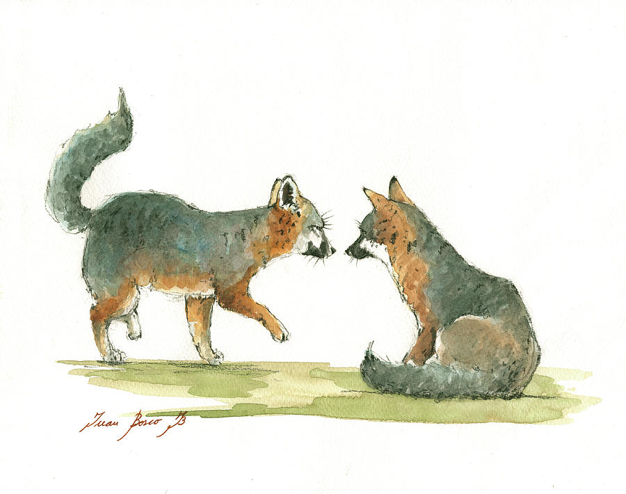 Island Fox Painting - Island foxes by Juan Bosco