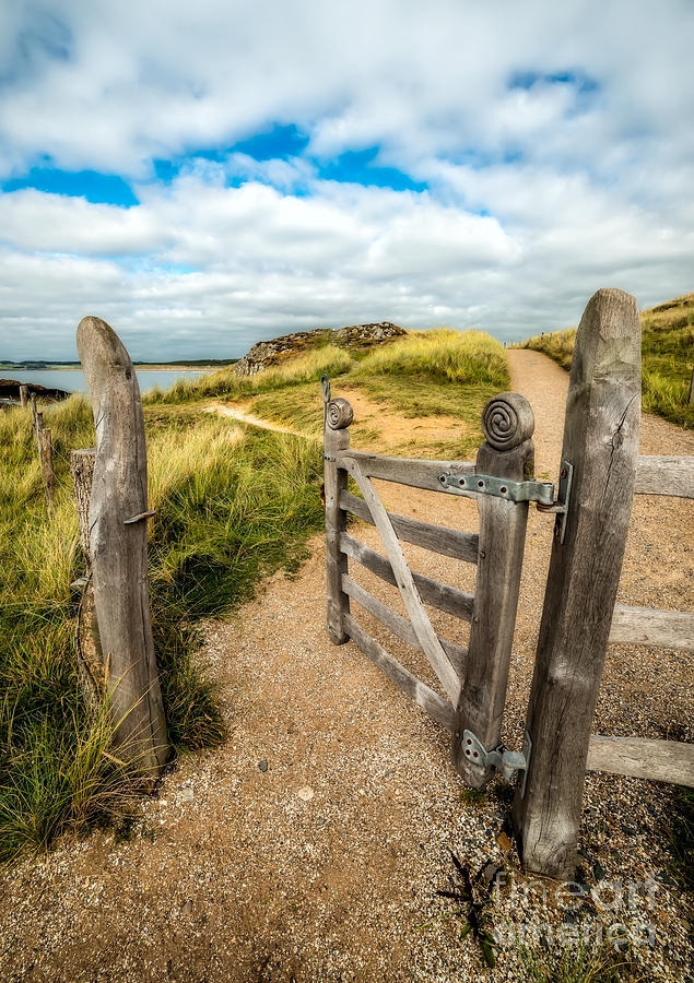 Beach Photograph - Island Gate by Adrian Evans