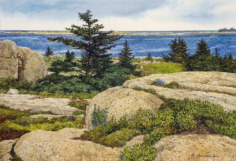 Island Harebells Painting by Tom Wooldridge