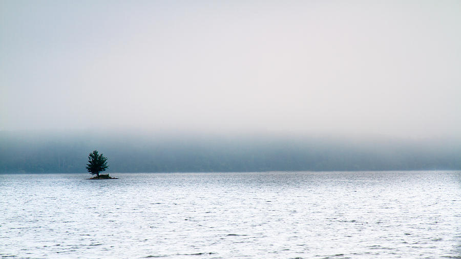 Island in the fog Photograph by Bob Orsillo
