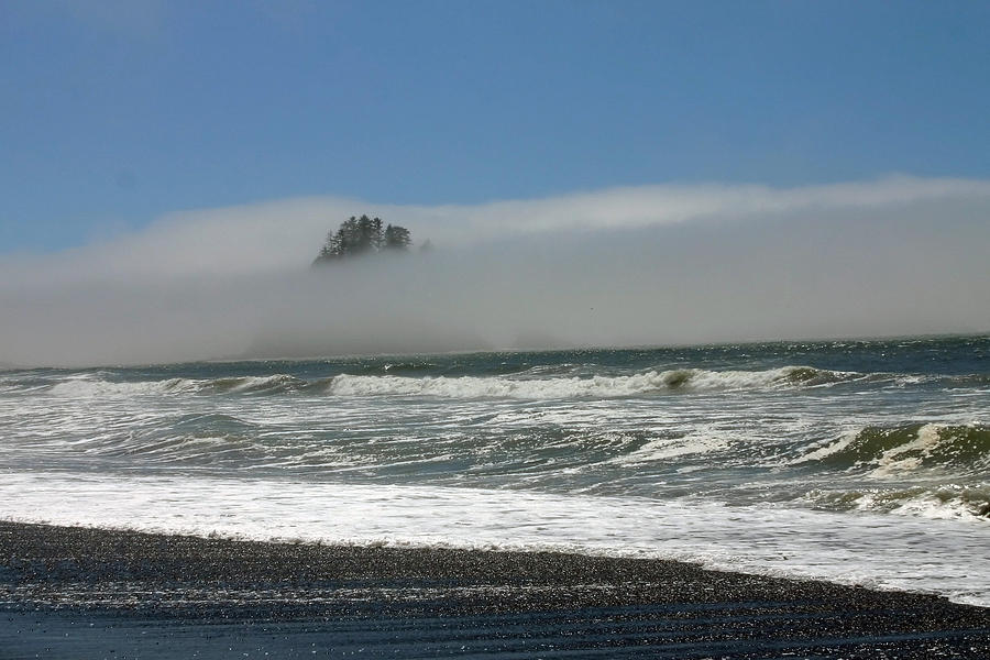 Island In The Fog Photograph
