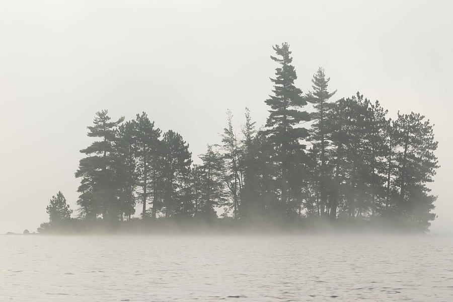 Island in the Fog Photograph by Jan Mulherin