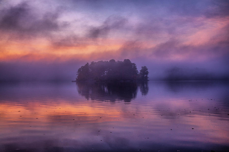Island in the fog Photograph by Lilia D