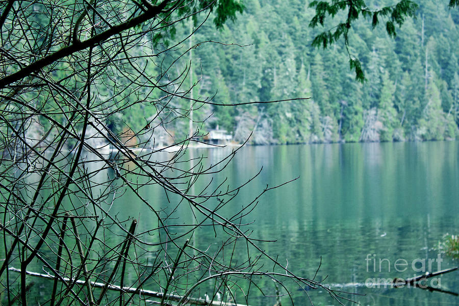 Island Lake Photograph by Donna L Munro