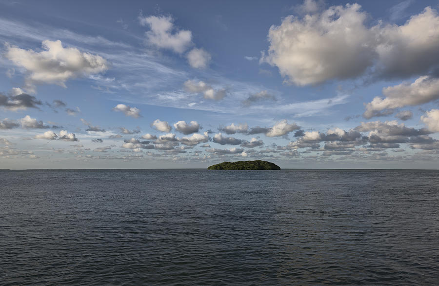 Island Mangrove  Photograph by Jon Glaser