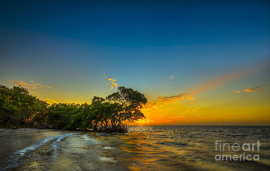 Island Paradise Photograph by Marvin Spates