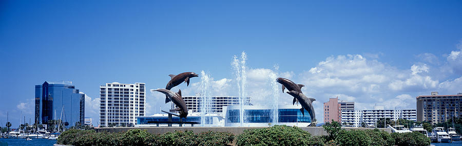 Dolphin Photograph - Island Park Sarasota Florida Usa by Panoramic Images